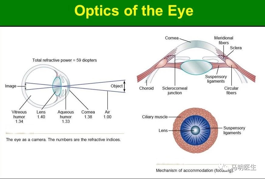 The optics of the eye