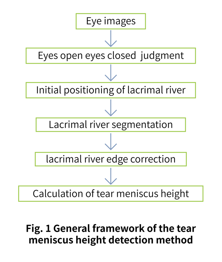 Tear meniscus height detection based on deep learning