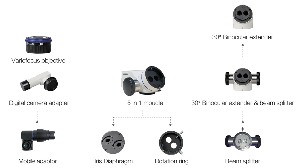 5 in 1 Digital Module