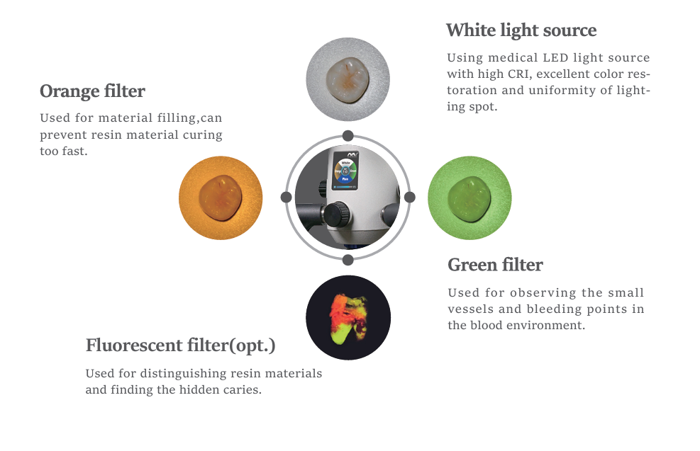 Multiple Filter Modes