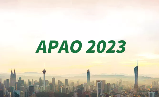 APAO 2023 Perfect Ending