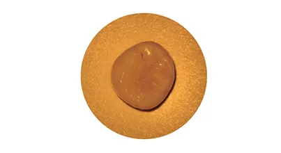Orange Filter