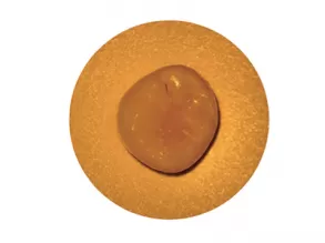 Orange Filter